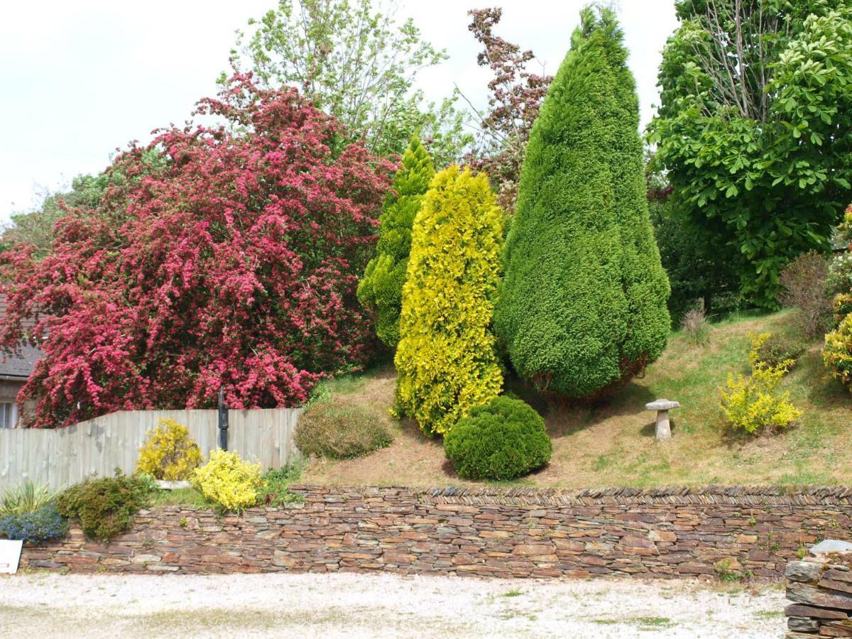 セント・オーステル Polgreen Farm Bed & Breakfast エクステリア 写真